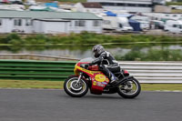 Vintage-motorcycle-club;eventdigitalimages;mallory-park;mallory-park-trackday-photographs;no-limits-trackdays;peter-wileman-photography;trackday-digital-images;trackday-photos;vmcc-festival-1000-bikes-photographs